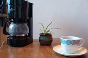 347 inmobiliaria de Maria Teresa Cortada