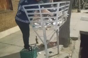 Aconcagua Propiedades