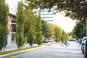 Acosta Negocios Inmobiliarios Suc Villa Luro