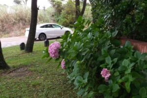 Acuarela Azul Raylen