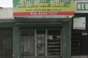 Adel&iacute;na Borgo