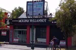 Agustina Molina Vallansot