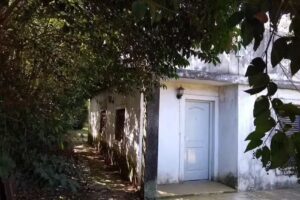 Alejandro Rico Gestion Inmobiliara