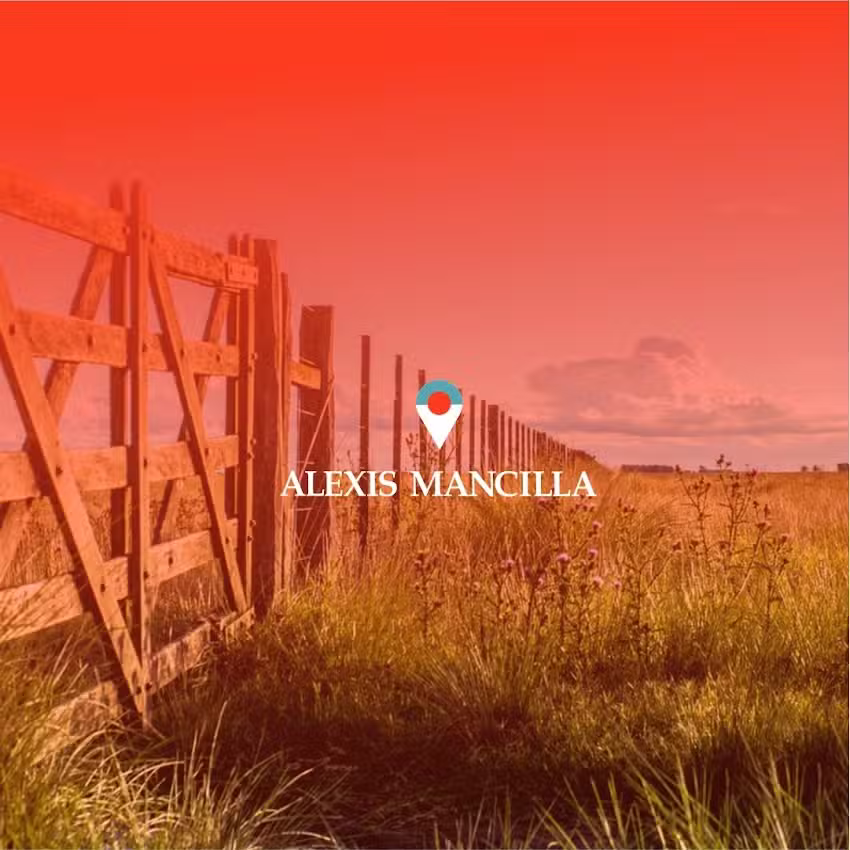 Alexis Mancilla Negocios Inmobiliarios