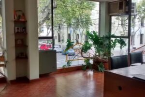 Alfa inmobiliaria San Rafael