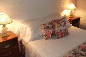 Alquiler de Departamentos Y Casa