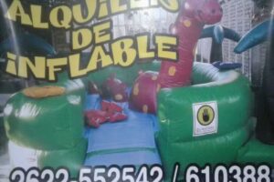 Alquiler De Inflable
