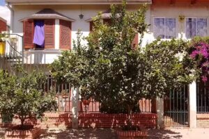 Alquiler Departamento Rico