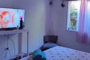 Alquiler temporario Susurros de conciencia