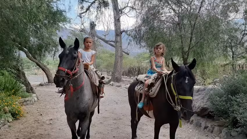 Alquileres Temporarios Cafayate
