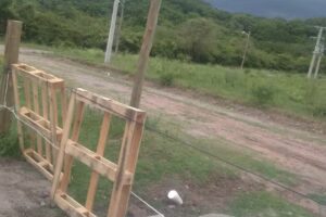 Altos De Met&aacute;n