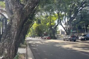 Ana Simeone Sede Acassuso