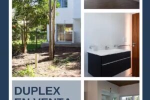 Andrea Tava Bienes Ra&iacute;ces