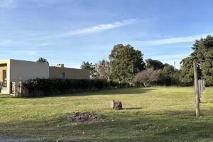 Asset Negocios Inmobiliarios