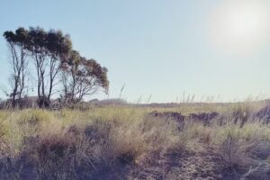 Atlantic Inmobiliaria