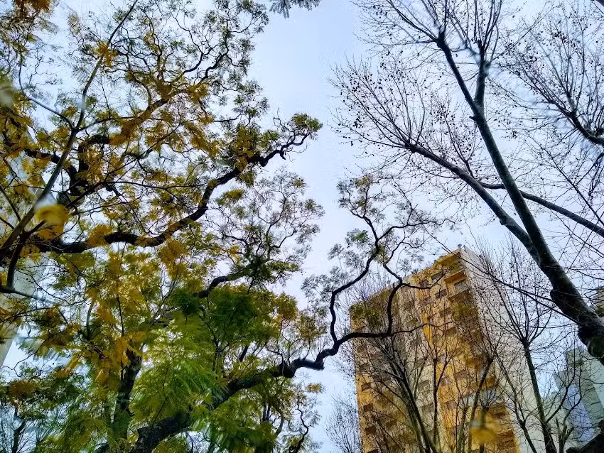 Babenco Negocios Inmobiliarios