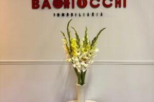 Bachiocchi inmobiliaria