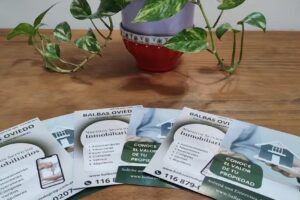 Balbas Oviedo Propiedades