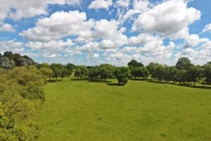 Barrio Parque Burzaco