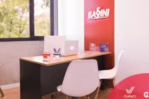Bassini Negocios Inmobiliarios