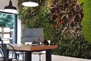 Belga Inmobiliaria Sa