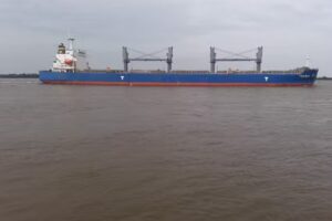 Beltran Inmobiliaria Srl