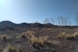 Bienes Ra&iacute;ces Group