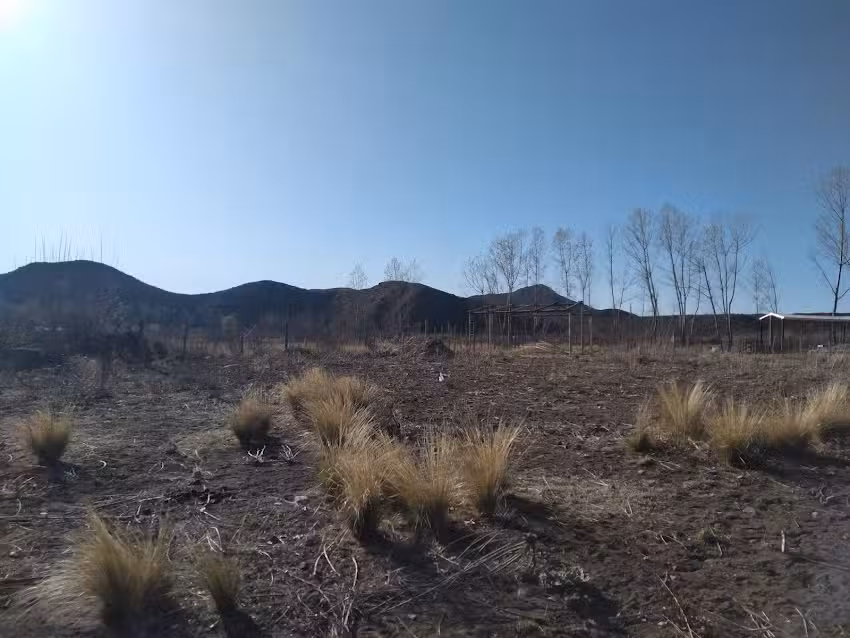 Bienes Ra&iacute;ces Group