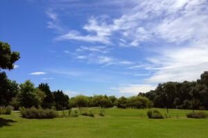 Bustamante Propiedades Nordelta