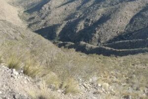 Cm Alquiler temporario