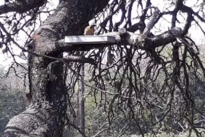 Caba&ntilde;a La Lucila