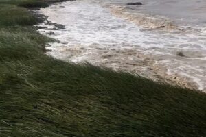 Caba&ntilde;a San Jorge