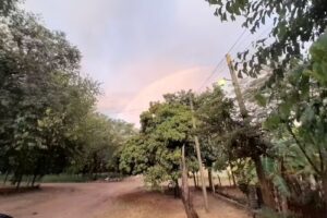 Caba&ntilde;as aguas verdes