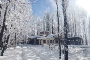 Caba&ntilde;as Bosque De Sol