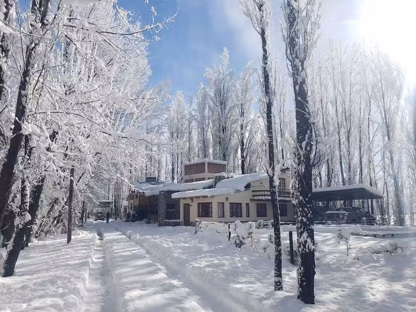 Caba&ntilde;as Bosque De Sol