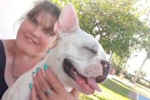 Caba&ntilde;as Destello