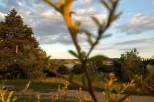 Caba&ntilde;as El Cobertizo
