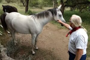 Caba&ntilde;as El Huayra
