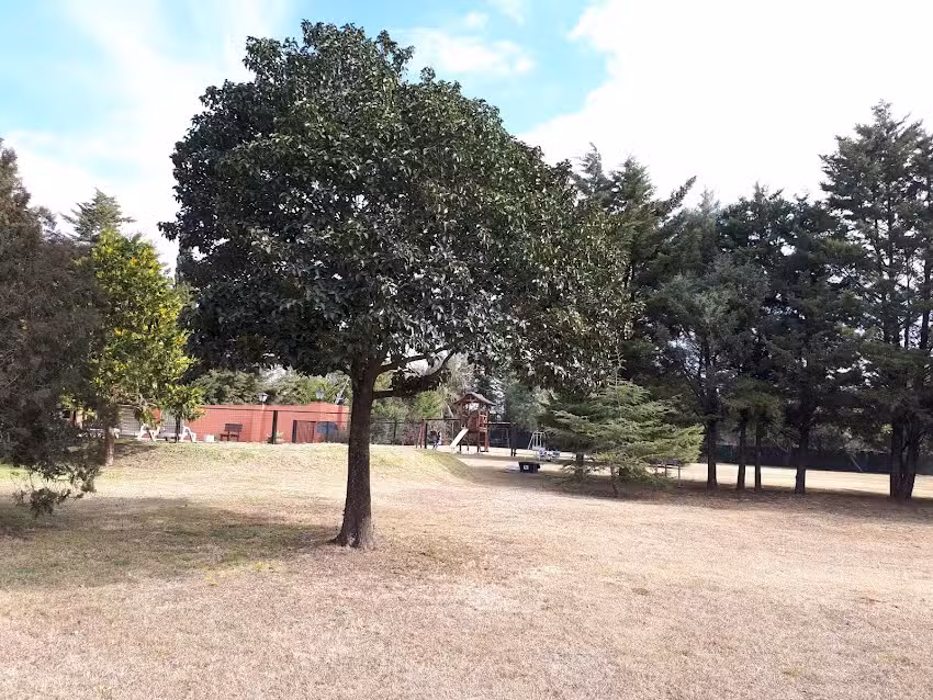 Caba&ntilde;as El Nogal