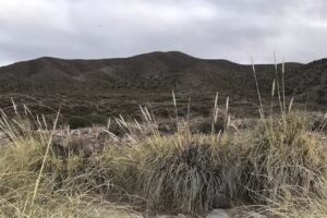 Caba&ntilde;as Finca El Duende