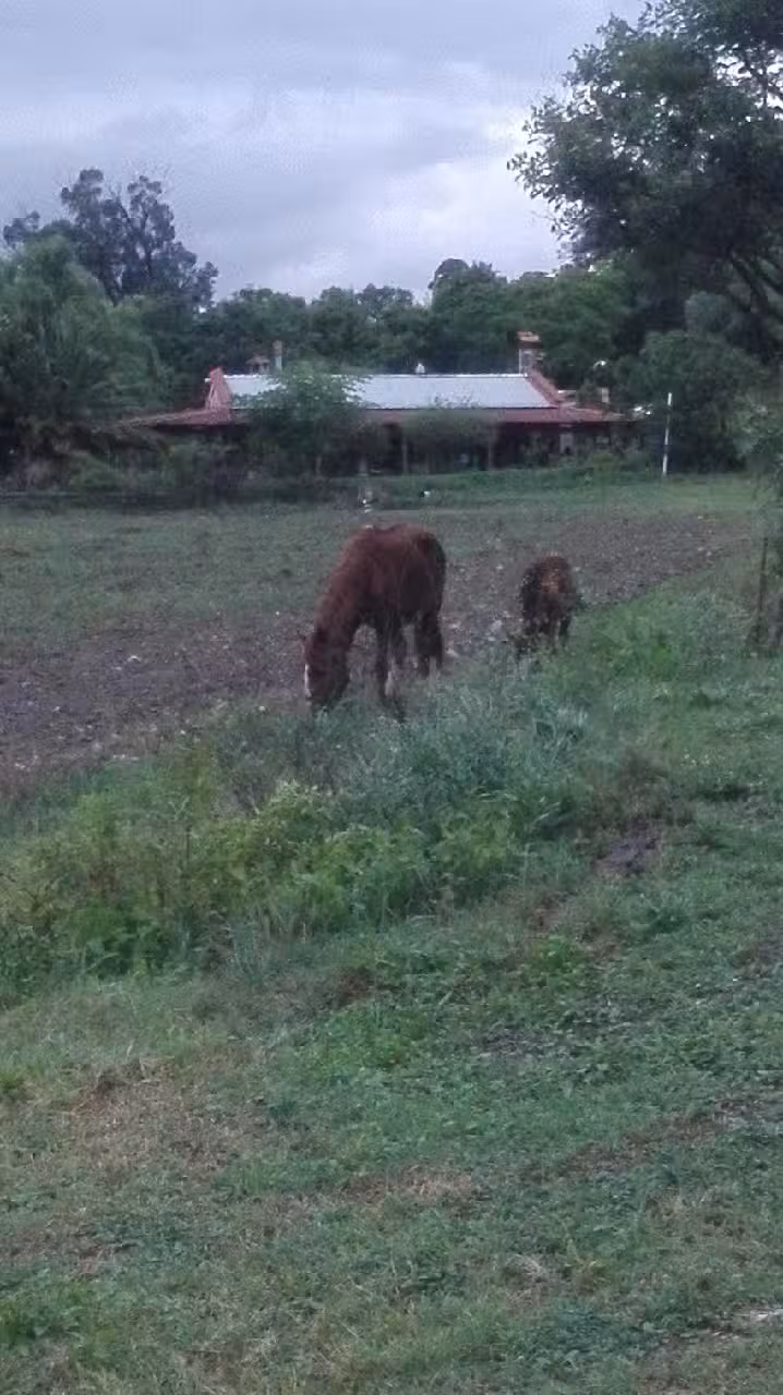 Caba&ntilde;as Finca Lo de Guarin