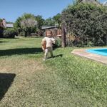 Caba&ntilde;as La Tranquila