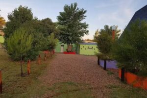 Caba&ntilde;as Los Leones