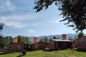 Caba&ntilde;as Mutisia