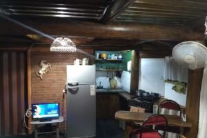 Caba&ntilde;as Palmeras