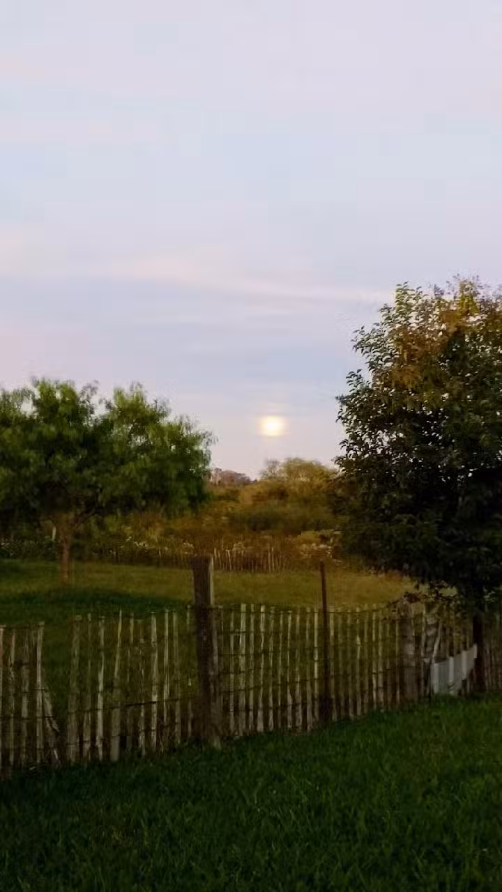 Caba&ntilde;as Santa Rita