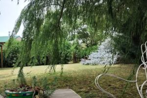 Caba&ntilde;as Sue&ntilde;o Serrano