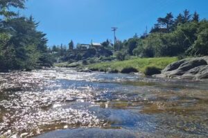 Caba&ntilde;as y SuitesTerra Nostra