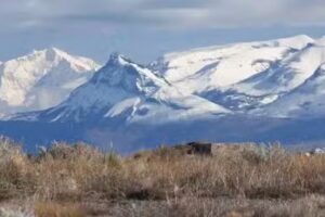 Campo de invierno Tierras en el Calafate