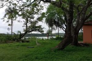 Campo San Juan Chacras Santa Ana Misiones